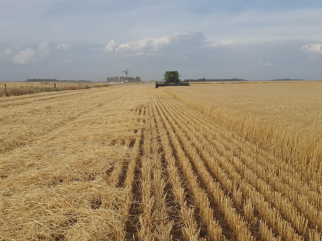 Campo agrícola. Foto ilustrativa.