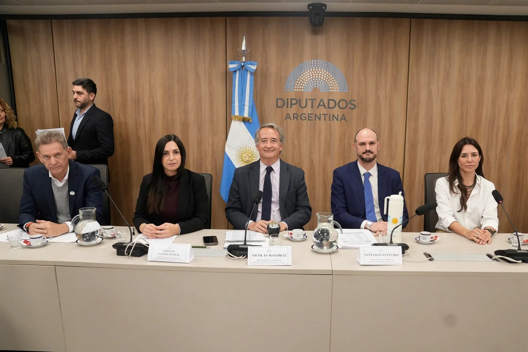 El plenario de las comisiones de Asuntos Constitucionales y Legislación General de Diputados, que firmó el dictamen.