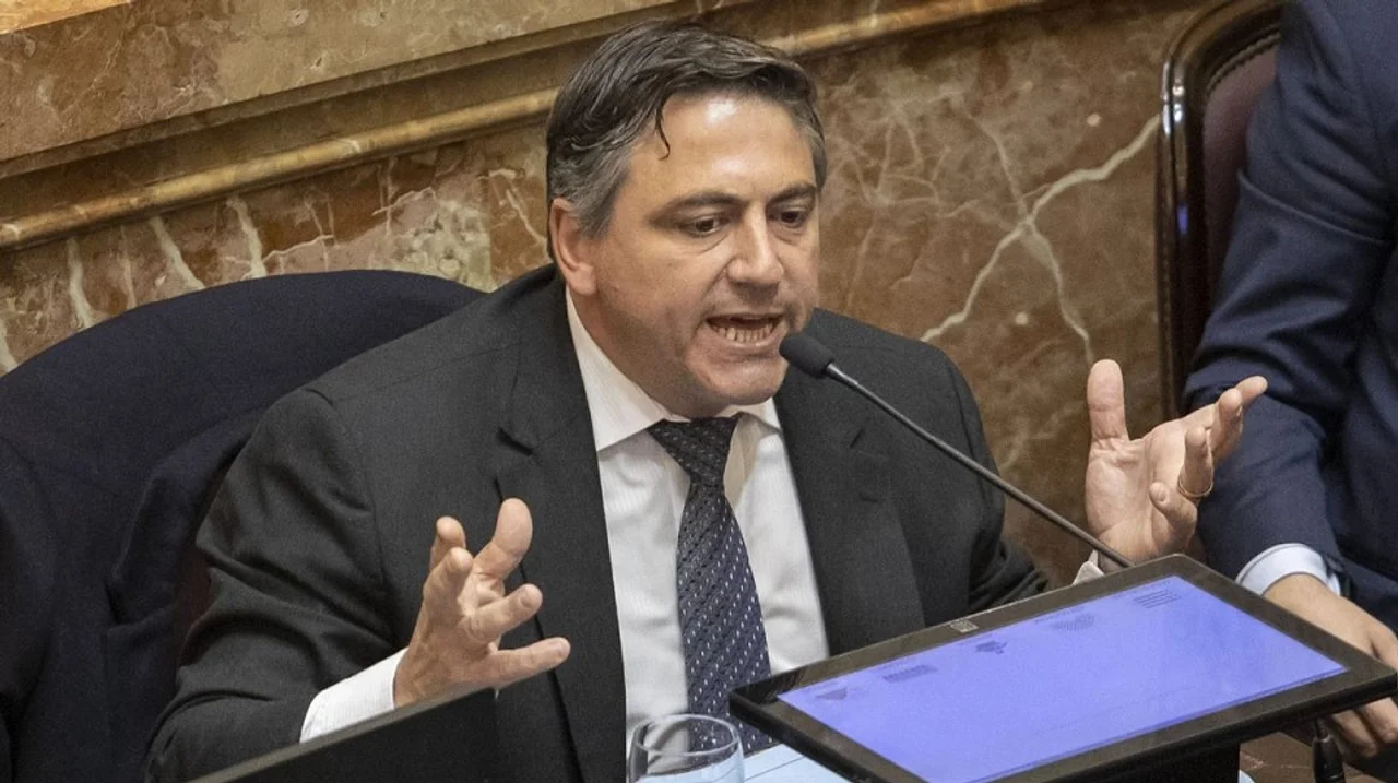 Un senador durante una sesión en la Cámara alta.