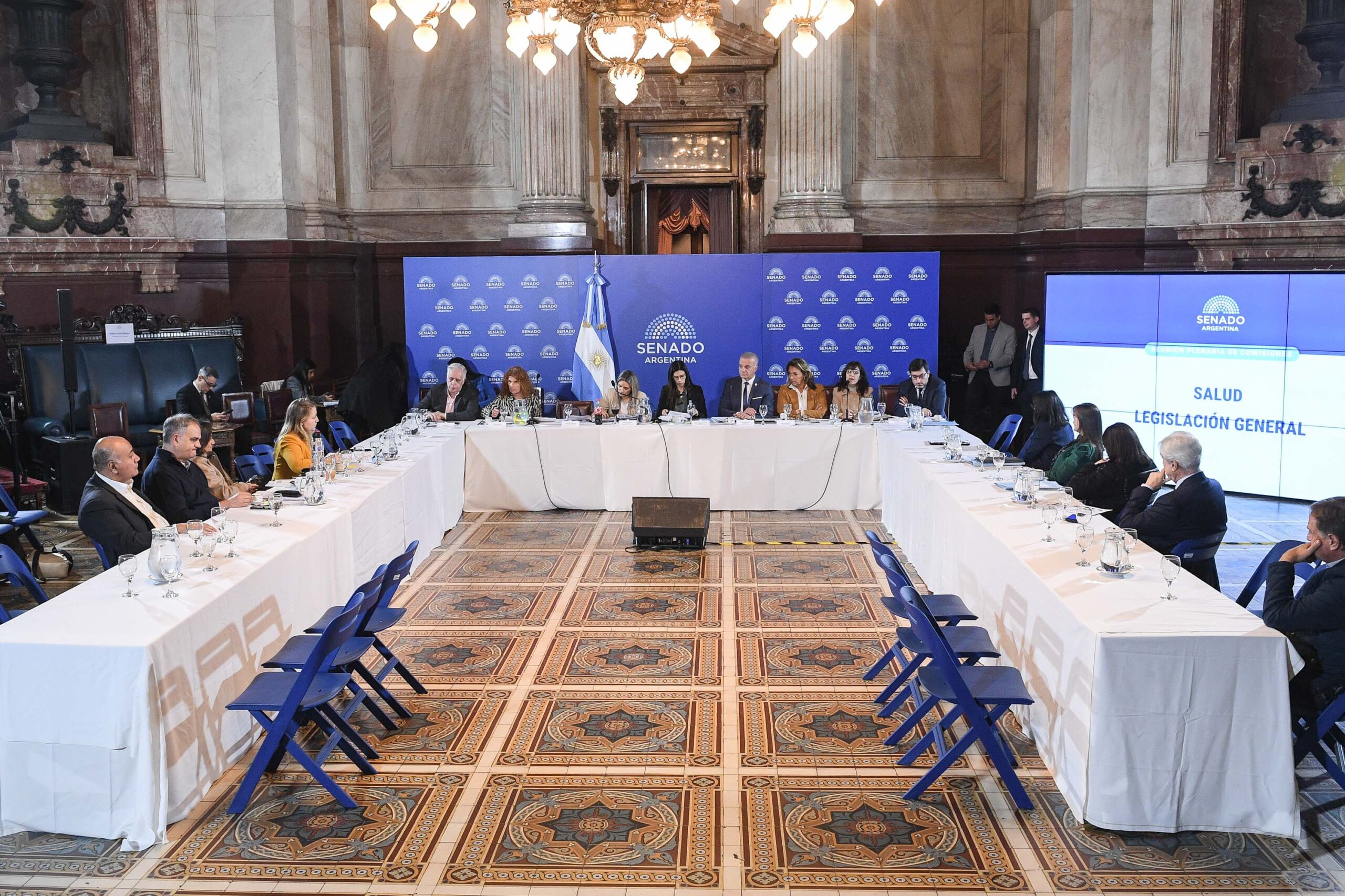 Debate de Salud Mental en el Senado, Argentina. Archivo mayo de 2026.